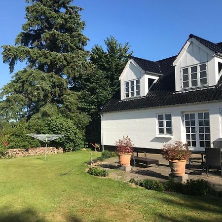 Pedersholt Bed & Breakfast Dybvad Exteriör bild